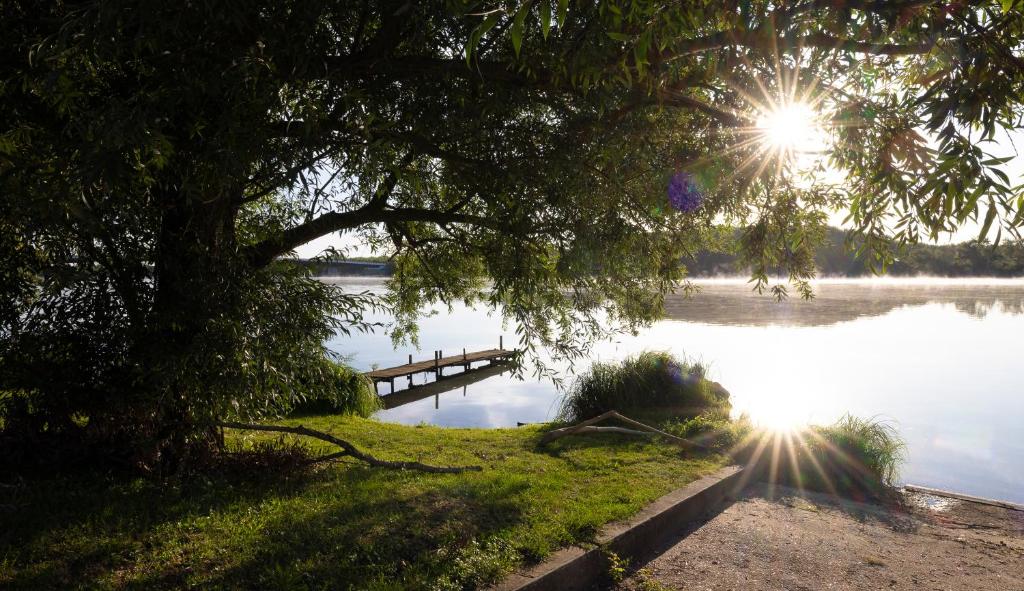 a dock on a lake with the sun shining on the water at CAMPING LA CLE DE SAONE in Crêches-sur-Saône