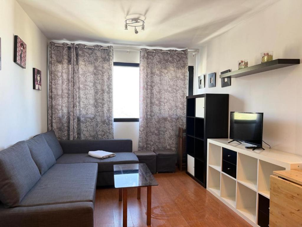 a living room with a couch and a tv at APARTAMENTOS INFINITY in Sierra Nevada