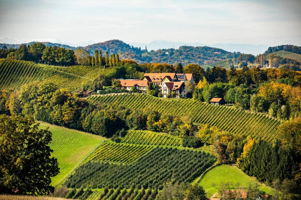 an aerial view of a house on a hill with vines at Sattlerhof Genießerhotel & Weingut in Gamlitz
