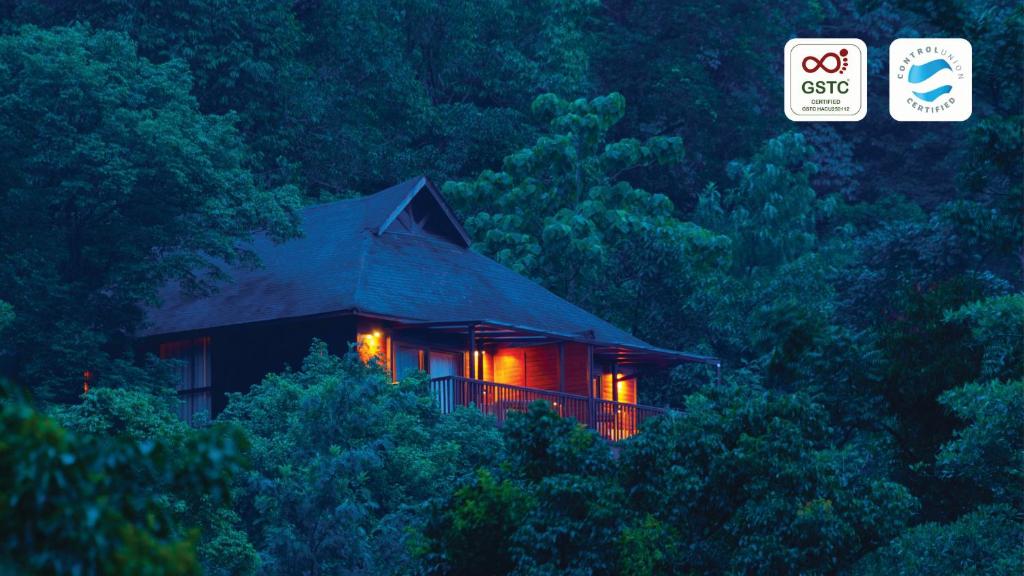 a cabin in the woods with lights in the trees at The Tamara Coorg in Kakkabe