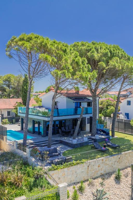 a villa with a swimming pool and trees at Villa Borik in Vrsi