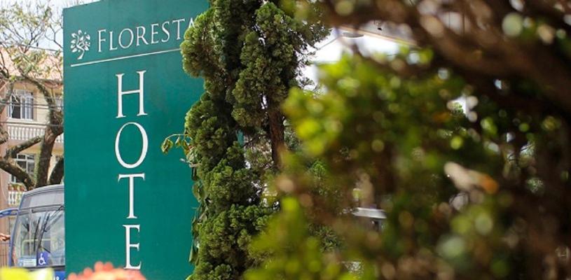 a green sign that says hollywood next to a tree at Floresta Tucuruvi (Adult Only) in São Paulo