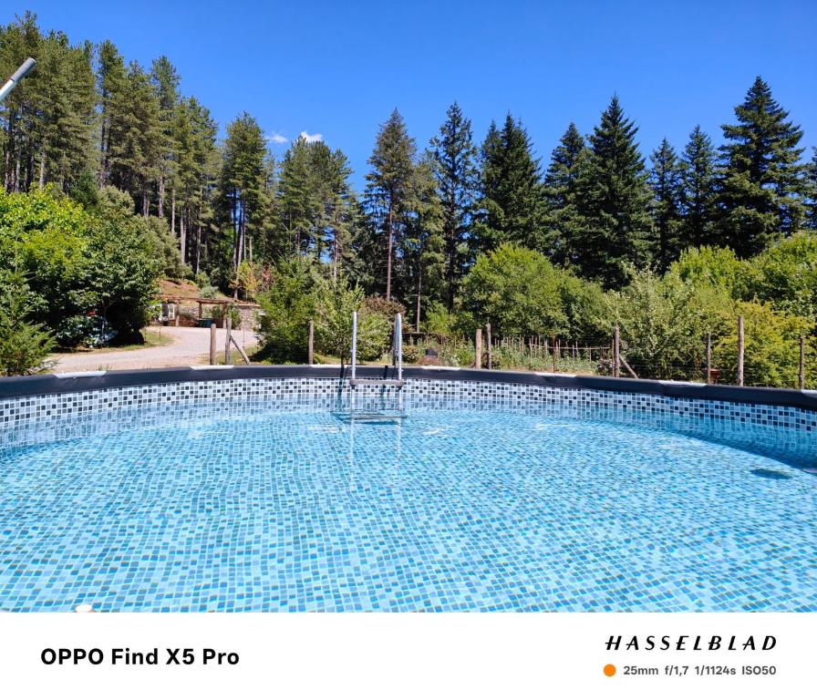 a large pool of water with trees in the background at Le Mas de la Rode in Saumane