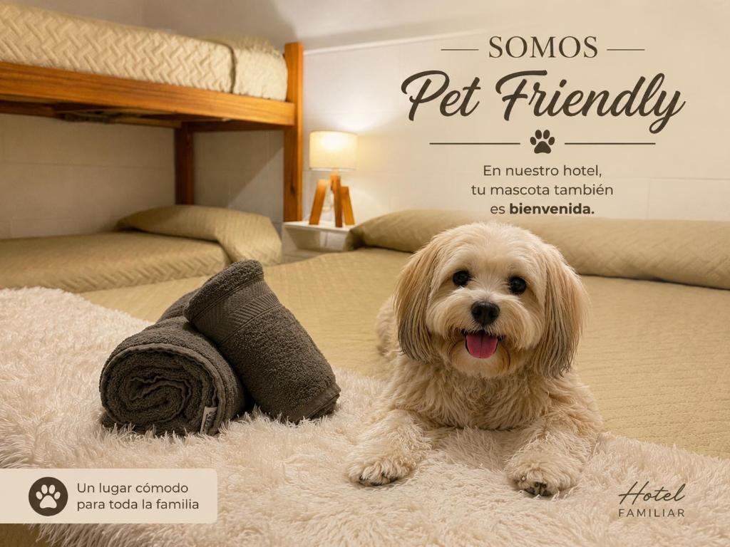 a dog laying on a bed with a towel at Hotel Lobo de Mar in Mar del Plata