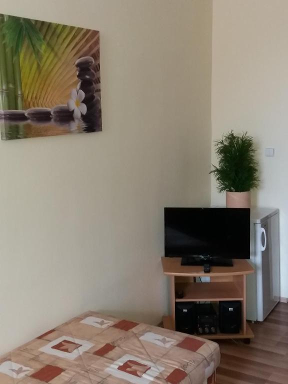 TV a/nebo společenská místnost v ubytování Apartmány u náměstí Sušice