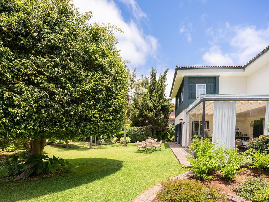 a yard with a tree and a house at Hotel Boutique San Diego - Adults Only in Las Lagunas