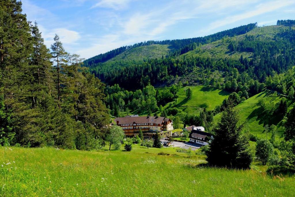 a house in the middle of a green field at Tanne Tonbach - Wellness & Wohlfühl Hotel in Baiersbronn