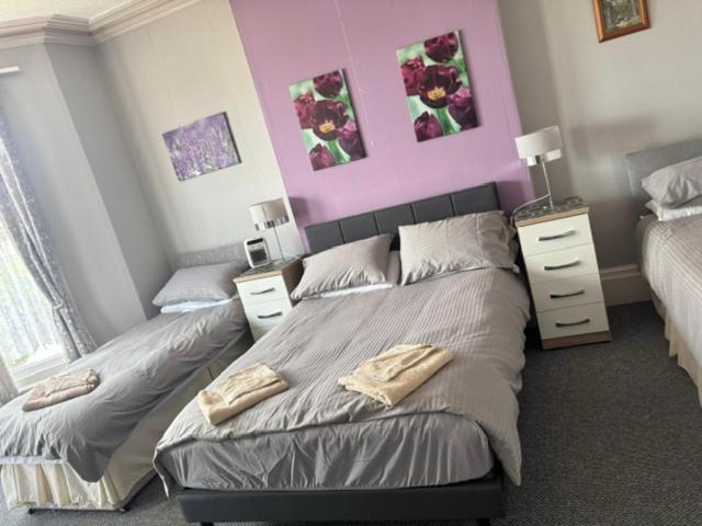two beds in a bedroom with purple walls at Whitecliff View in Sandown