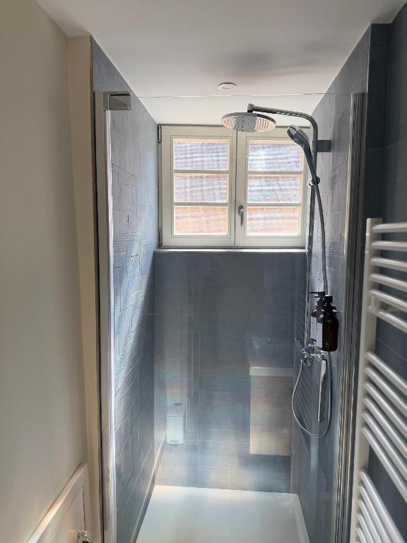 Le Gîte Azur - Charme d'un appartement dans une maison alsacienne - Hypercentre de Colmar – photo 11
