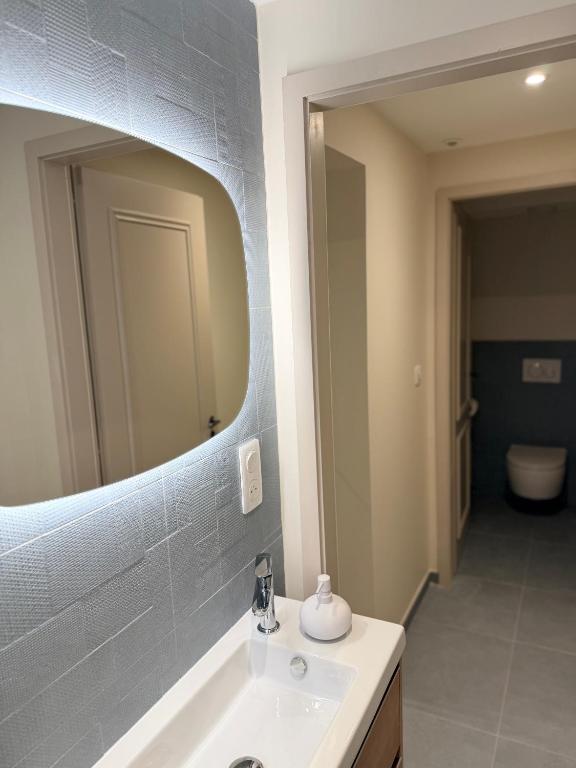 Le Gîte Azur - Charme d'un appartement dans une maison alsacienne - Hypercentre de Colmar – photo 9