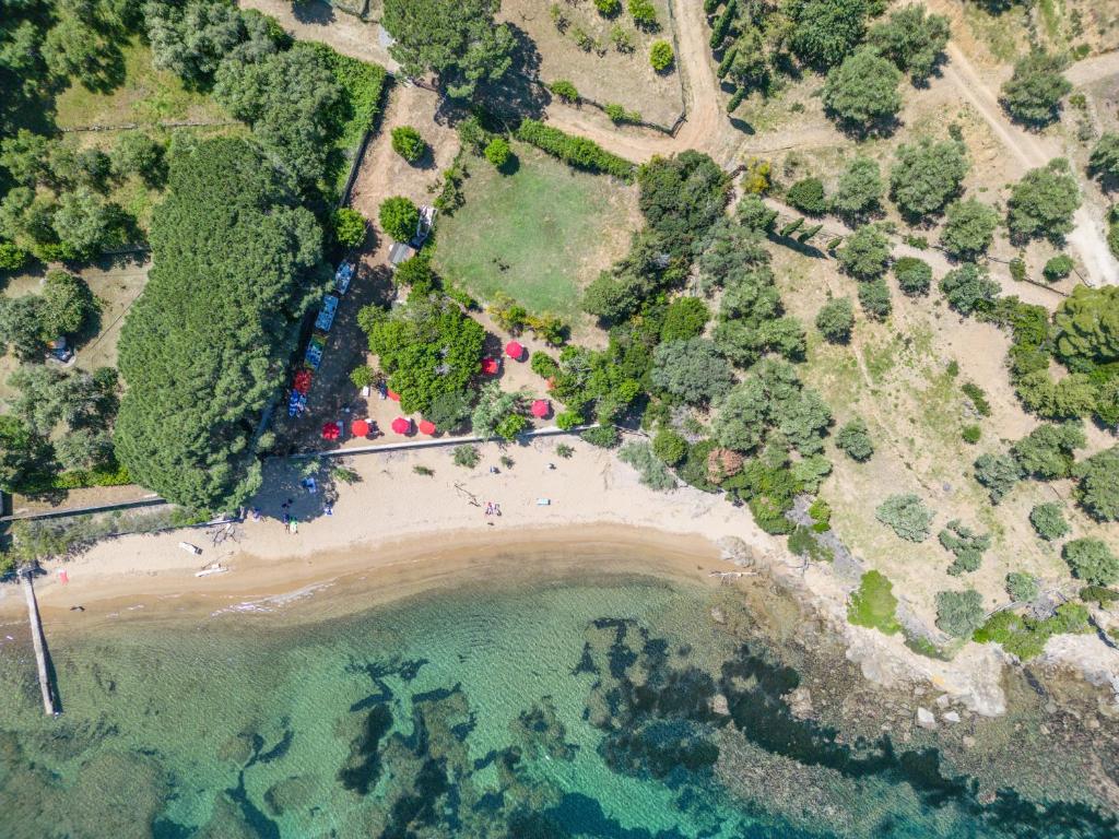 an aerial view of a beach and the ocean at Agriturismo Galenzana in Marina di Campo