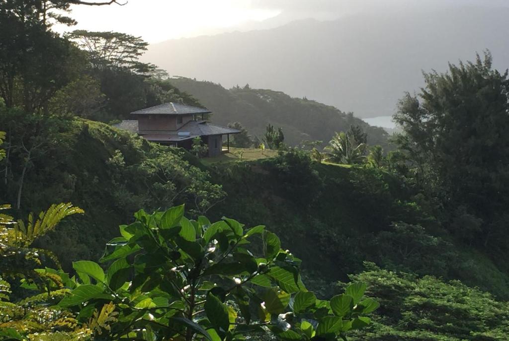 Villa Mitinatura avec Vue Panoramique - photo 10 - Tahiti, Polynésie