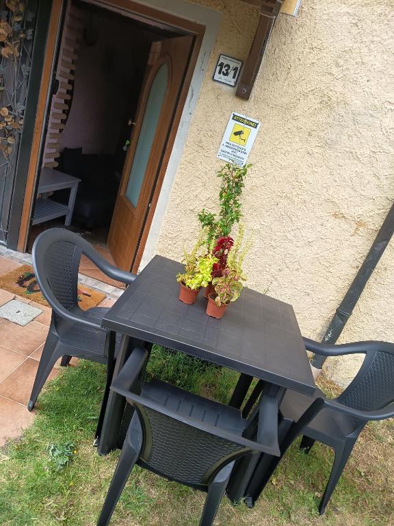 a picnic table with plants on it in front of a house at La Tavernetta in Ponte della Venturina