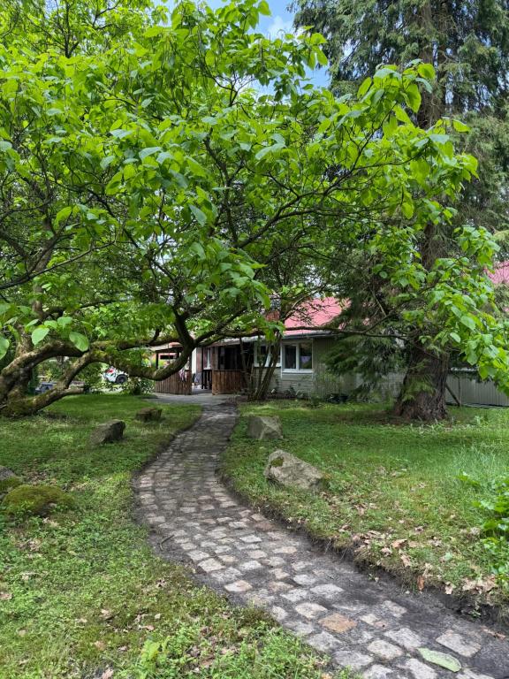 a path leading to a house with a tree at The Cottages - Pet Friendly in Meißendorf