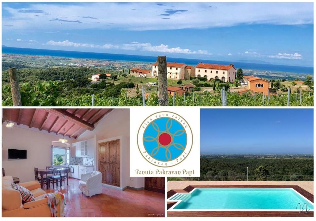 a villa with a pool and a view at Agriturismo Tenuta Pakravan Papi in Riparbella