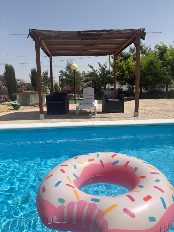 a donut float in a swimming pool with a gazebo at CUEVA RURAL PALAPA DEL PERAL in El Charcón