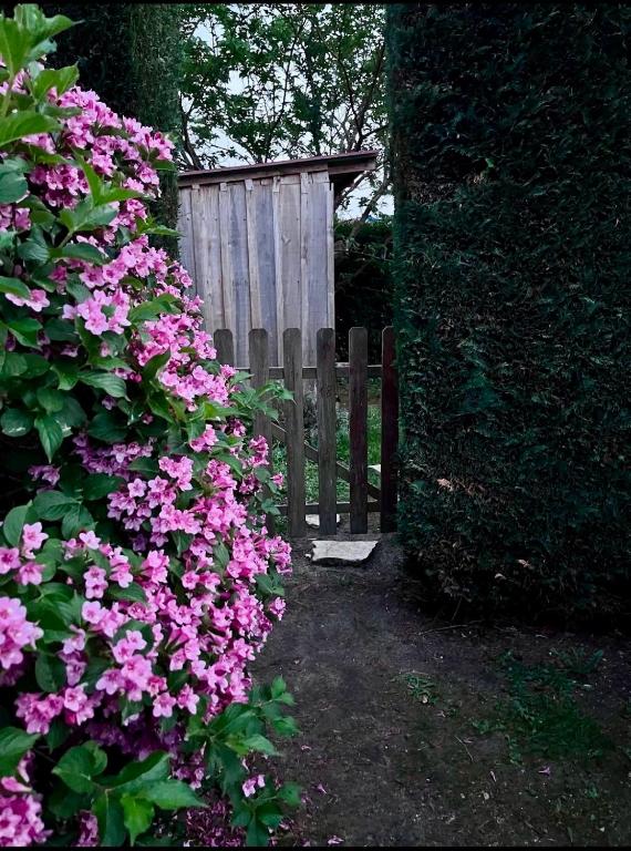 a wooden gate with pink flowers next to a bush at La Parenthèse Landaise Duplex rénové avec jardin & piscine in Saint-Julien-en-Born