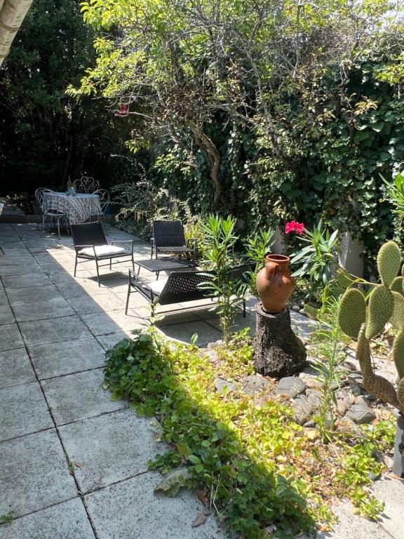 a garden with a vase sitting on a tree stump at Studio "Jakar" près de Toulouse in Saint-Jean