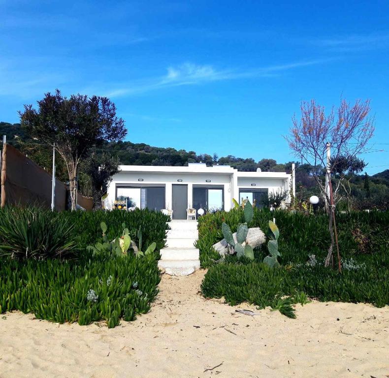 a house on the beach with plants in front of it at Azzure Heaven in Loutrá Elevtherón