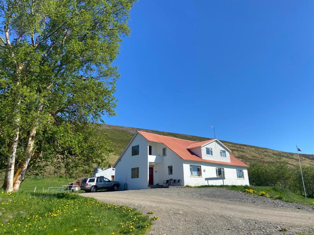 a white house with a red roof on a hill at Öndólfsstaðir Farm B&B in Laugar