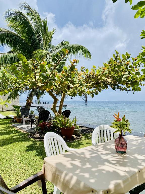 Séjour dépaysant à Villa Ahui Tautira - Vue imprenable sur le lagon - photo 6 - Tahiti, Polynésie