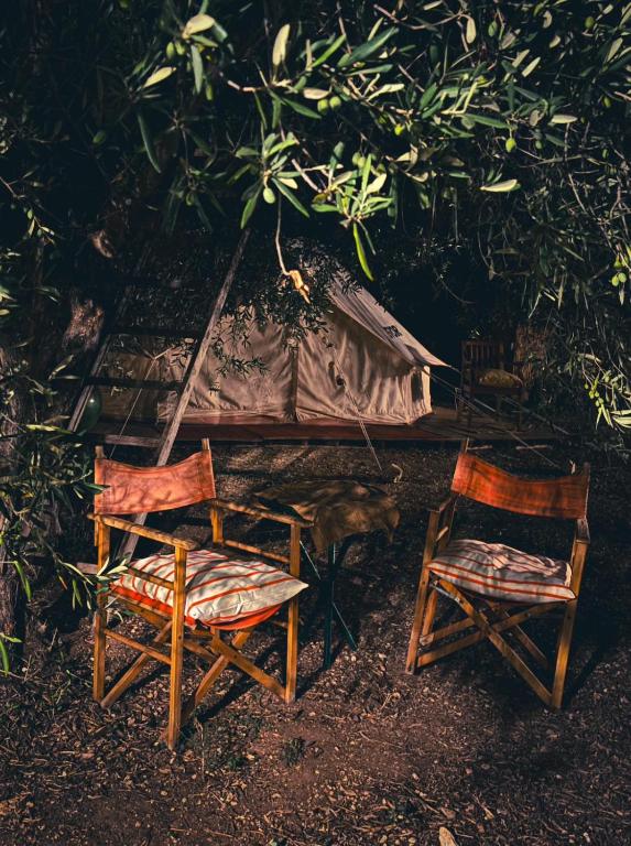 Wishne Glamping Agriturismo in tende Bisceglie