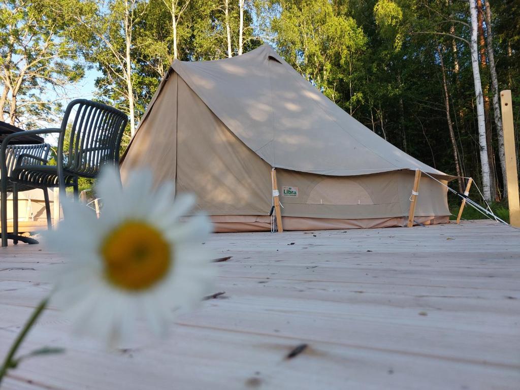 a tan tent with a flower in front of it at Glamping Tolvsbo Inn in Söderbärke