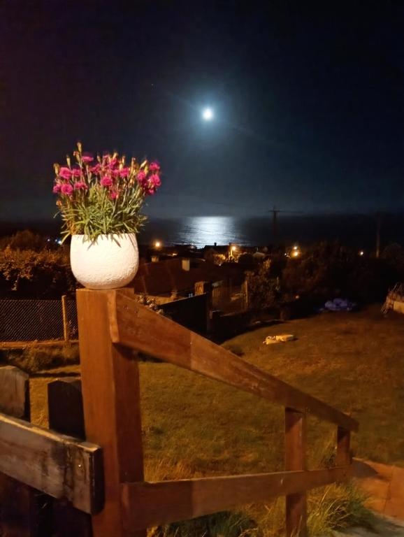 a pot of flowers on top of a fence at night at Casa Carballar in Oia