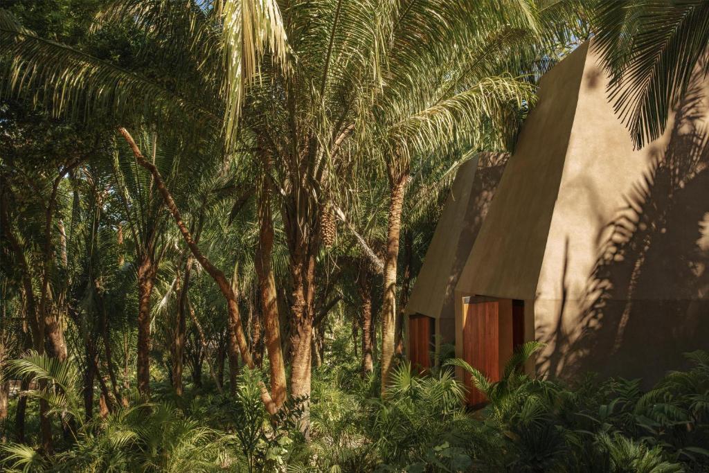 a group of palm trees next to a building at One&Only Mandarina in Lo de Marcos