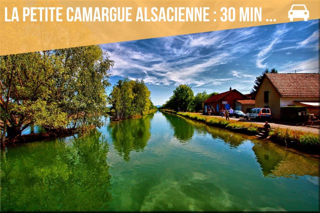 Studio cosy RDC proche de la gare – photo 23