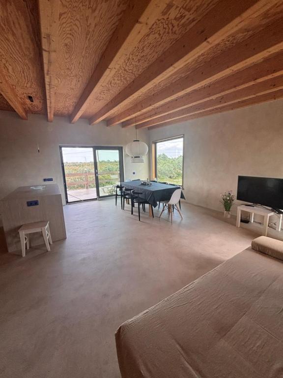 a large living room with a table and a television at Casa Zaan in Sulina