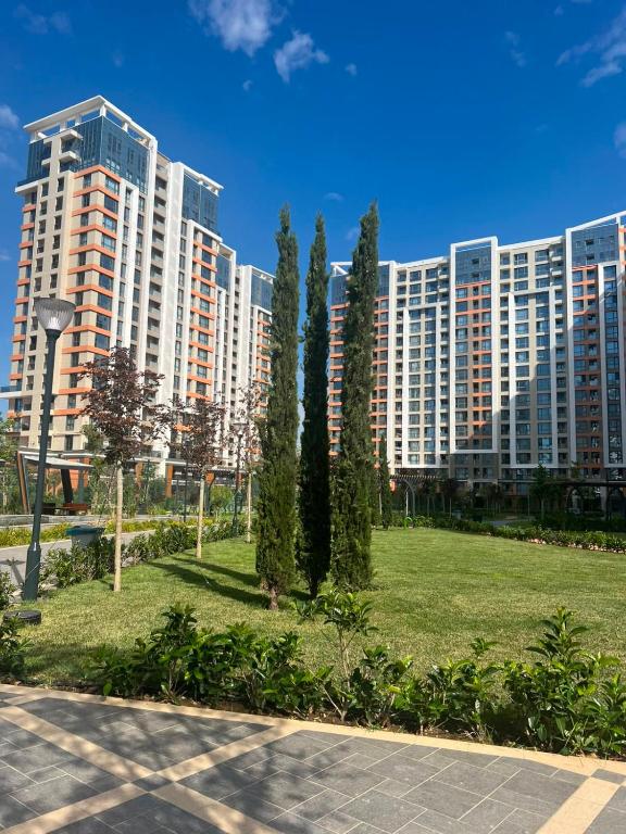فضای داخلی Garden view appartment در باکو - تصویر ۳
