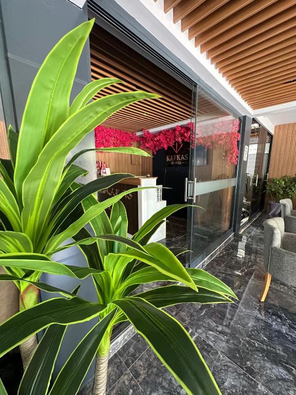 Kafkas Hotel - 