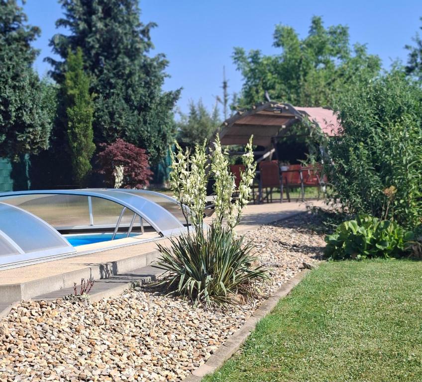 a house with a car parked in a garden at Ferienwohnung Bienwald mit Pool für 4 - 6 Personen mit 3 Schlafzimmern in Gröbitz