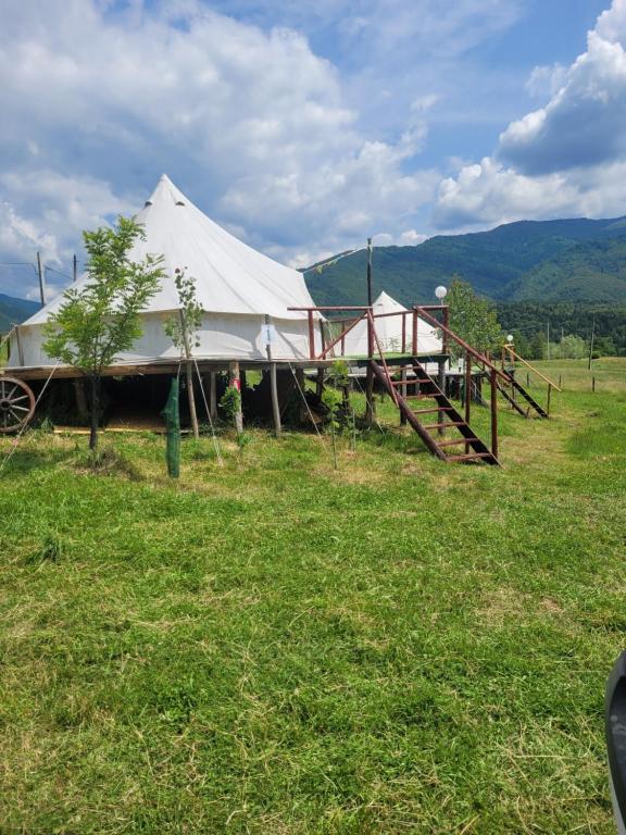 a large tent in a field of grass at Nucsoara Glamping Cozy in Nucşoara