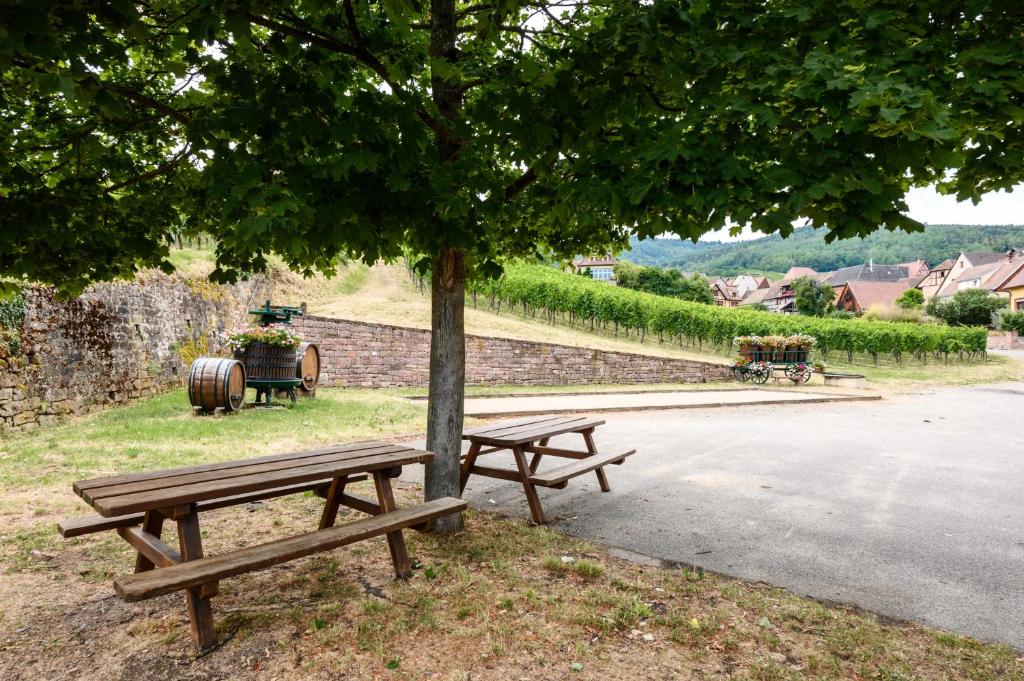 voyage en Alsace chez Gaby – photo 22