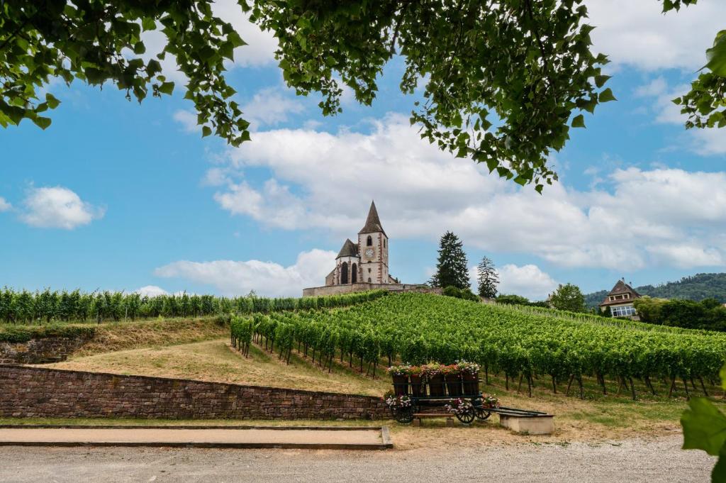 voyage en Alsace chez Gaby – photo 21