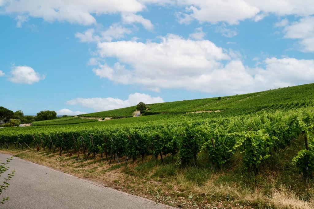 voyage en Alsace chez Gaby – photo 23