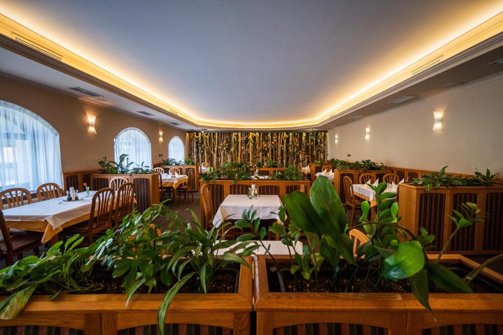a restaurant with tables and chairs and plants at Hotel u Crlíků in Tetčice