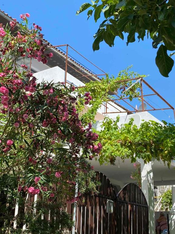 a bunch of pink flowers hanging from a fence at Vila Ruška in Prčanj