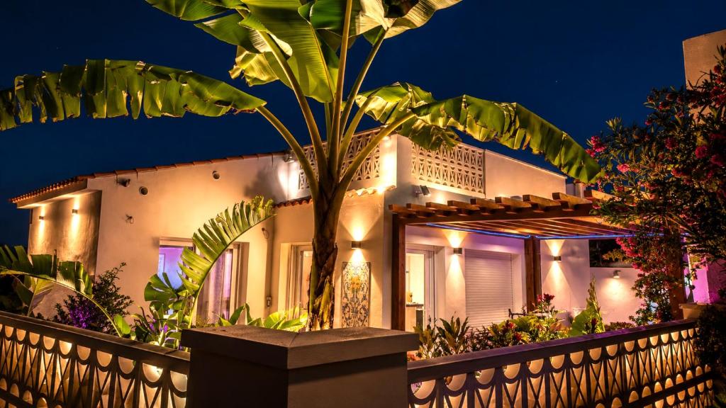 a house with a palm tree in front of it at Casita del Toro - Rooftop Terrace & Sea View in Vinarós