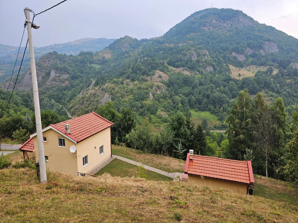 a house on a hill with a mountain in the background at Villa Natalija in Andrijevica