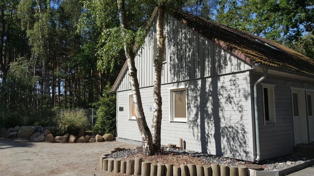 a small white building with a tree next to it at Wittower Heide 40-2 in Glowe