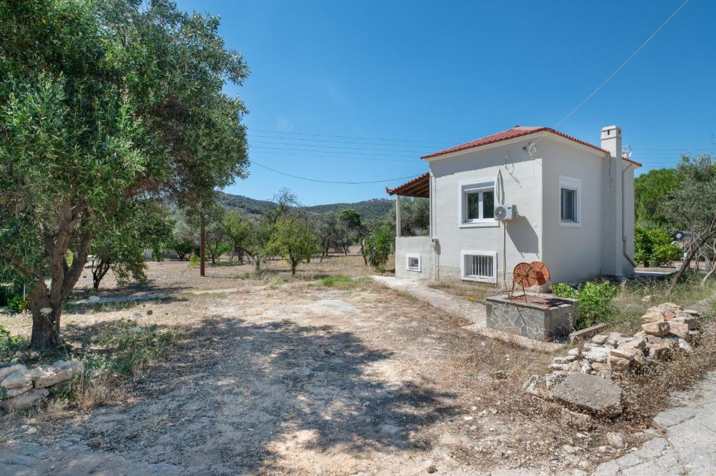 a small white house with a tree in front of it at Vasso Galati House in Vaia