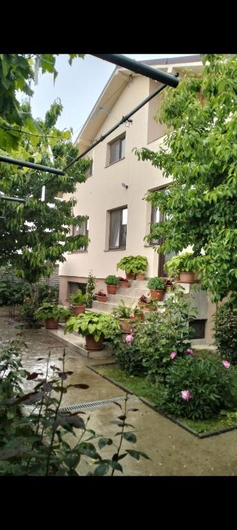 a building with a bunch of plants in front of it at Vila Aurora in Bordeiu