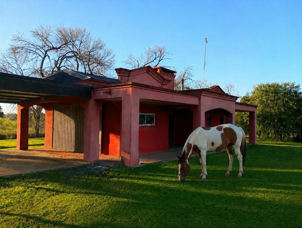 a horse grazing in the grass in front of a building at La Chacra de Pilar in Pilar