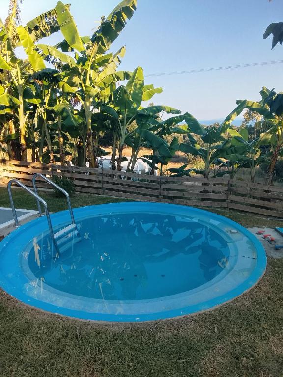 a small blue pool in the grass with trees at Mediterranean Studio Ratzakli in Ratzaklíon