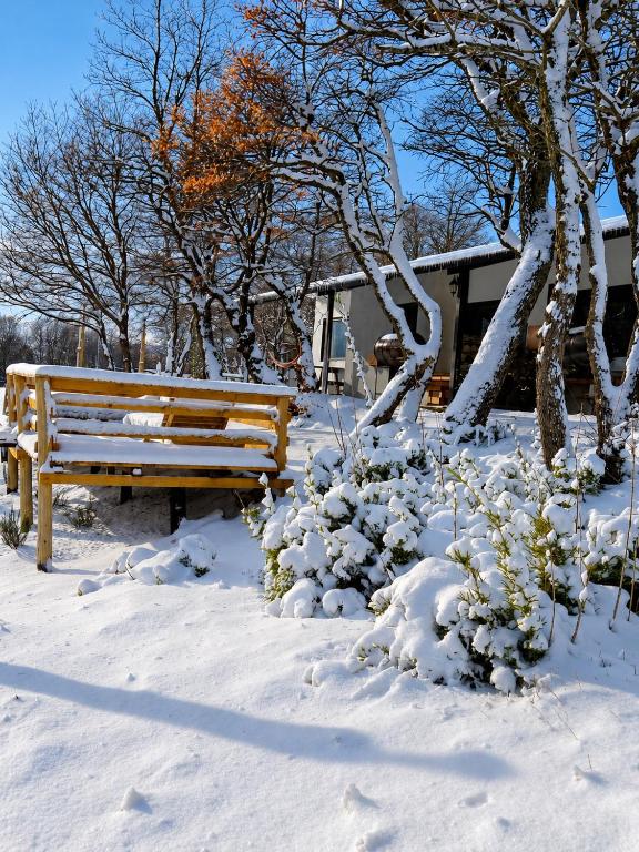 a wooden bench sitting in the snow next to trees at Tierras Mágicas in Villa Pehuenia