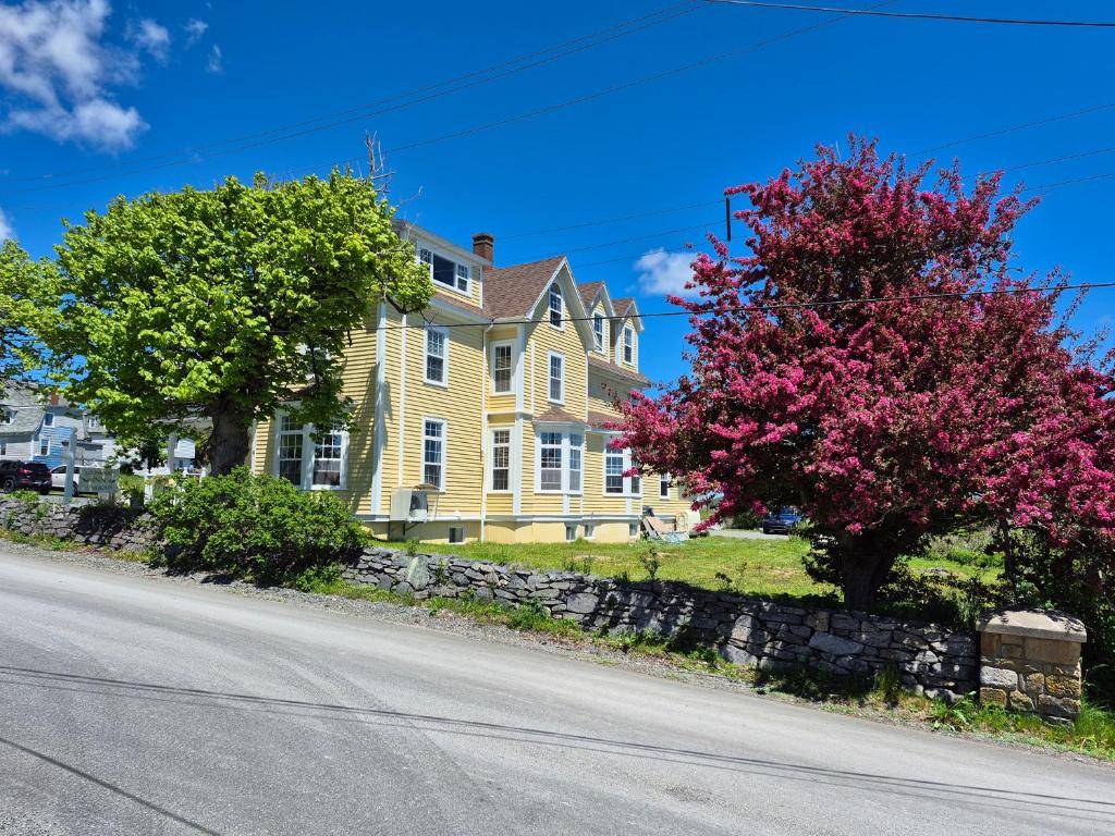 a yellow house with a flowering tree in front of a street at Louisbourg Harbour Inn in Louisbourg