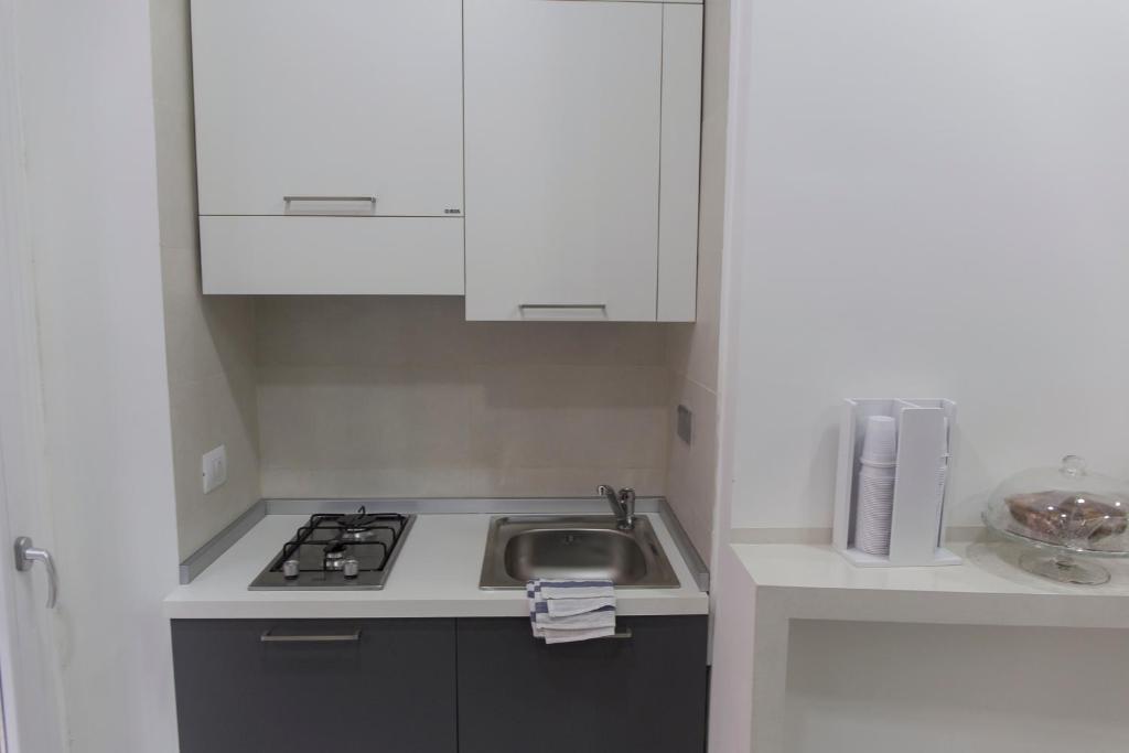 Kuchyňa alebo kuchynka v ubytovaní Metronia Guest House